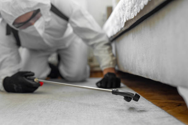 Professional Bed Bug Control technician working in Lakemore, OH