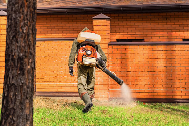 Trusted Bed Bug Control service in Lakemore, OH - Nex Pest Control